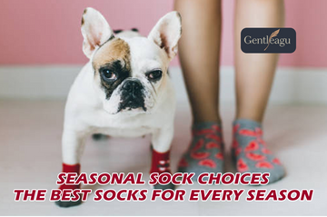 Seasonal Sock Choices: The Best Socks for Every Season